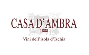 Casa D'Ambra logo