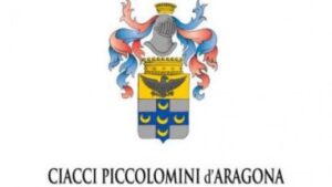 Ciacci Piccolomini d'Aragona logo