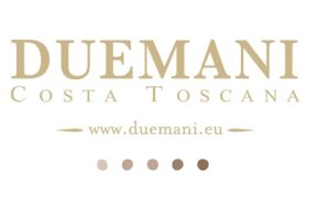 Duemani logo