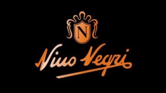 Nino Negri logo