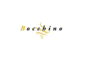 Beppe Bocchino logo