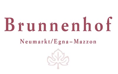 Brunnenhof Mazzon logo