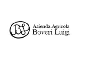 Michele Luigi Boveri logo