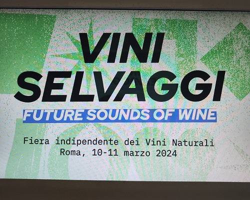 Wild Wines 2024 Rome screen