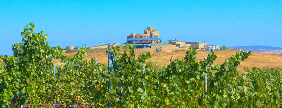 Edoardo Miroglio, the winery in Thrace