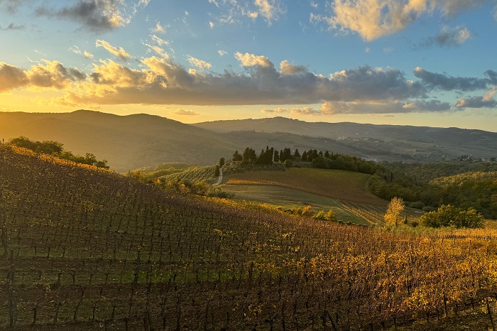 Mita Castiglioni unica proprietaria di Querciabella