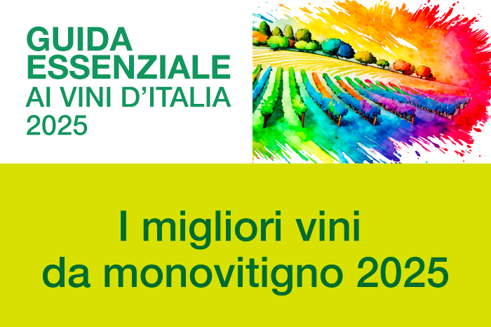 I migliori vini da monovitigno 2025