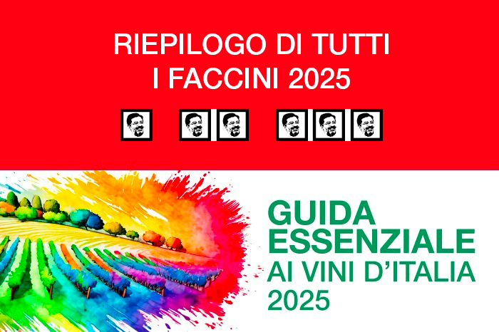 Riepilogo Faccini Guida Essenziale ai Vini d'Italia 2025 by DoctorWine