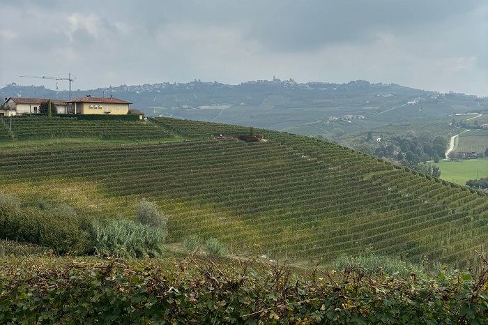 Barolo en Primeur 2024, i vigneti