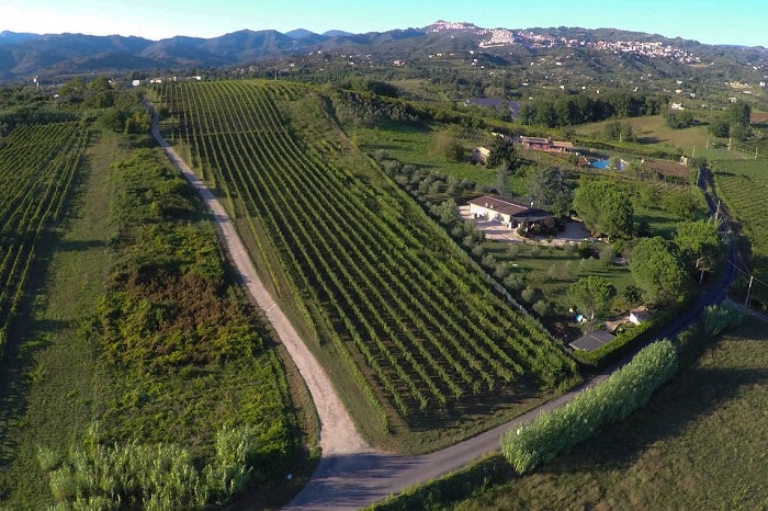 Zona denominazione Cesanese, azienda agricola Alberto Giacobbe