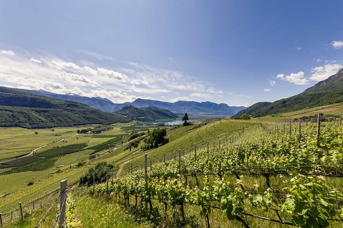 Riconosciute 86 UGA per i vini dell’Alto Adige