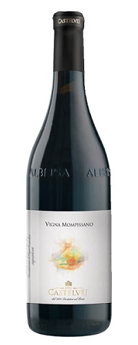 Barbera d’Alba Superiore Vigna Mompissano 2019 Bric Castelvej 