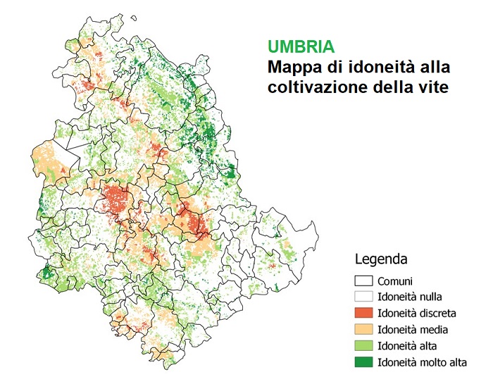 Mappa di idoneità alla coltivazione della vite