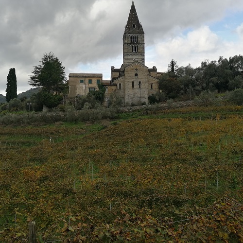 La Ricolla, vineyard under the Abbey